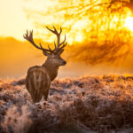 shutterstock 120562819