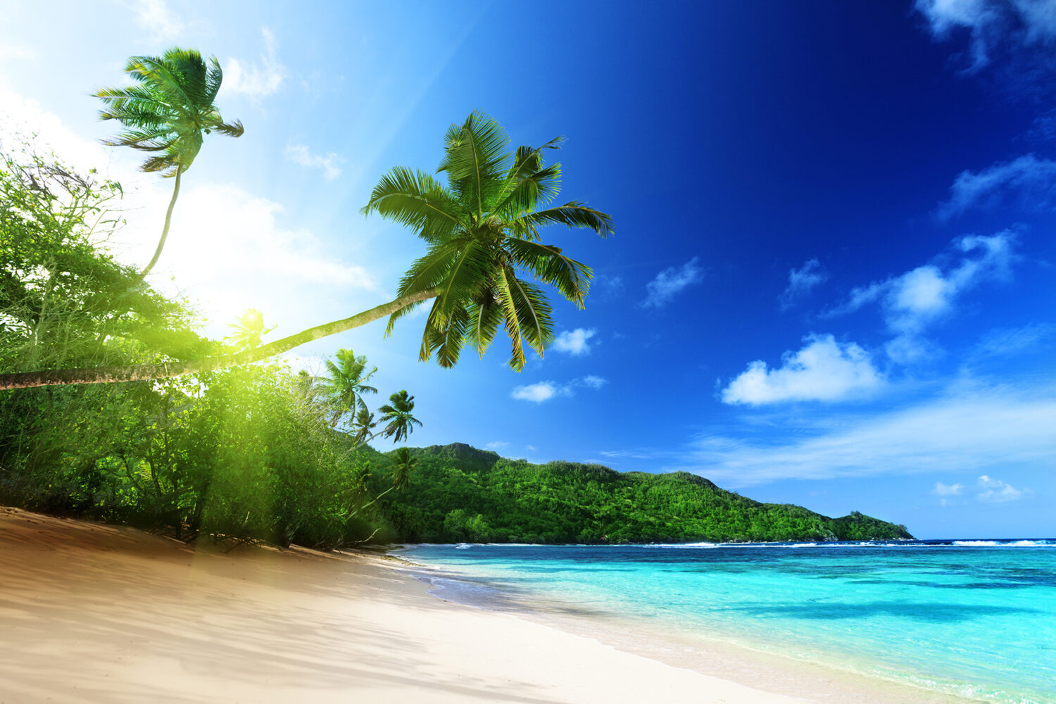 shutterstock 124333858