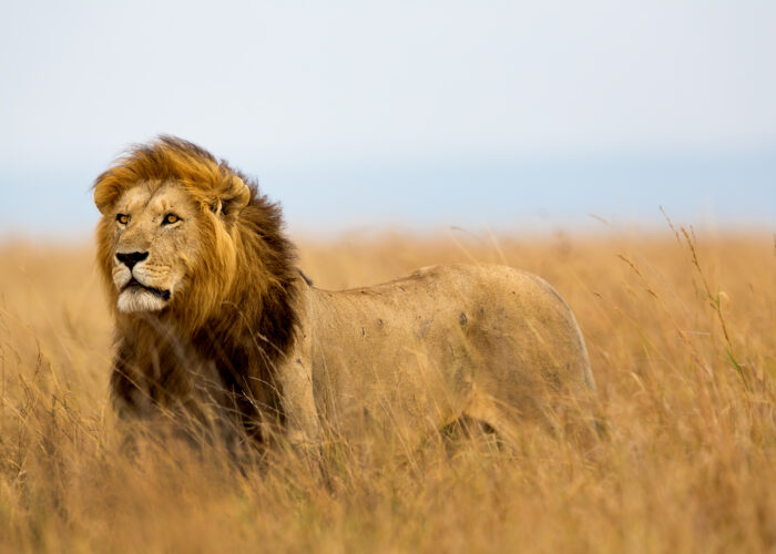 shutterstock 149105702