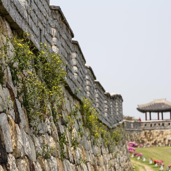 while sports day, korea, republic of korea, suwon, suwon hwaseong fortress, castle, unesco, world cultural heritage, korea, korea, korea, korea, korea, suwon, suwon, suwon, suwon, suwon, suwon hwaseong fortress, night view, castle, unesco, the northeast day, standing up, night sky, korea, suwon-whaseong fortress, 水原華城之旅, 華城行宮全景, 城牆制高點俯瞰, 石門與樓閣, 軍事訓練場, 水原华城之旅, 华城行宫全景, 城墙制高点俯瞰, 石门与楼阁, 军事训练场, 수원 화성 투어, 화성행궁 전경, 성곽 제고지 전망, 돌문과 누각, 군사 훈련장, Suwon Hwaseong Tour, Hwaseong Haenggung Palace, fortress summit view. stone gate and pavilion, military training ground