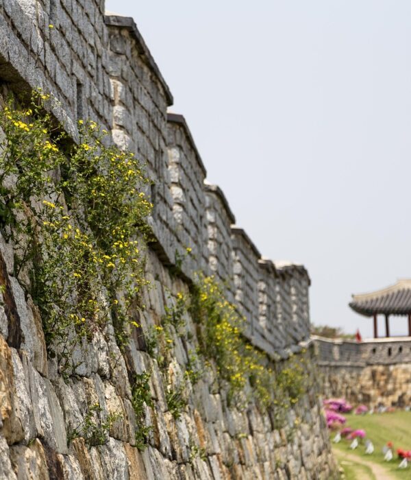 while sports day, korea, republic of korea, suwon, suwon hwaseong fortress, castle, unesco, world cultural heritage, korea, korea, korea, korea, korea, suwon, suwon, suwon, suwon, suwon, suwon hwaseong fortress, night view, castle, unesco, the northeast day, standing up, night sky, korea, suwon-whaseong fortress, 水原華城之旅, 華城行宮全景, 城牆制高點俯瞰, 石門與樓閣, 軍事訓練場, 水原华城之旅, 华城行宫全景, 城墙制高点俯瞰, 石门与楼阁, 军事训练场, 수원 화성 투어, 화성행궁 전경, 성곽 제고지 전망, 돌문과 누각, 군사 훈련장, Suwon Hwaseong Tour, Hwaseong Haenggung Palace, fortress summit view. stone gate and pavilion, military training ground