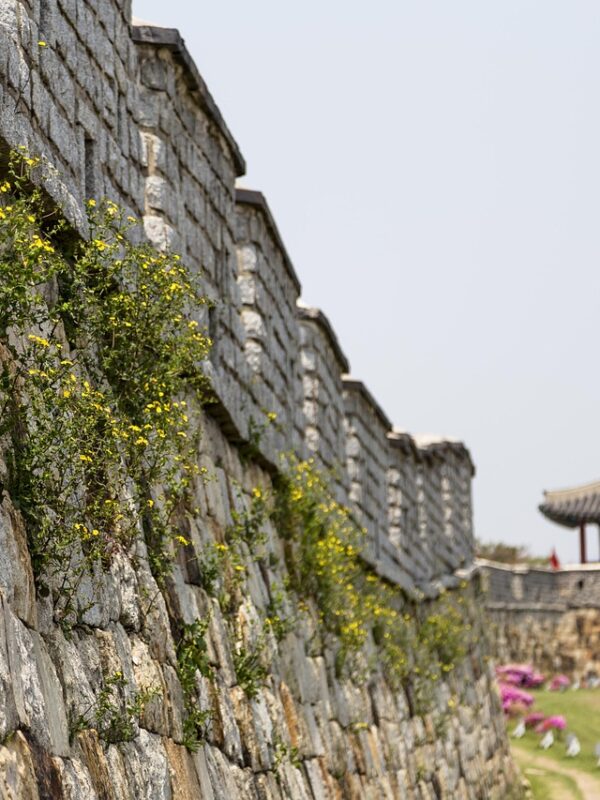 while sports day, korea, republic of korea, suwon, suwon hwaseong fortress, castle, unesco, world cultural heritage, korea, korea, korea, korea, korea, suwon, suwon, suwon, suwon, suwon, suwon hwaseong fortress, night view, castle, unesco, the northeast day, standing up, night sky, korea, suwon-whaseong fortress, 水原華城之旅, 華城行宮全景, 城牆制高點俯瞰, 石門與樓閣, 軍事訓練場, 水原华城之旅, 华城行宫全景, 城墙制高点俯瞰, 石门与楼阁, 军事训练场, 수원 화성 투어, 화성행궁 전경, 성곽 제고지 전망, 돌문과 누각, 군사 훈련장, Suwon Hwaseong Tour, Hwaseong Haenggung Palace, fortress summit view. stone gate and pavilion, military training ground