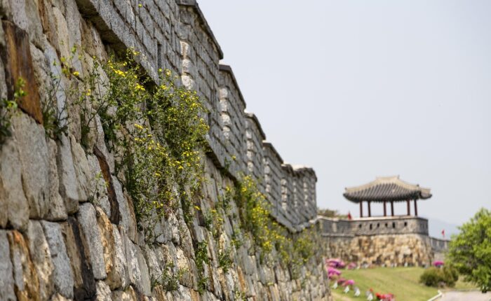 while sports day, korea, republic of korea, suwon, suwon hwaseong fortress, castle, unesco, world cultural heritage, korea, korea, korea, korea, korea, suwon, suwon, suwon, suwon, suwon