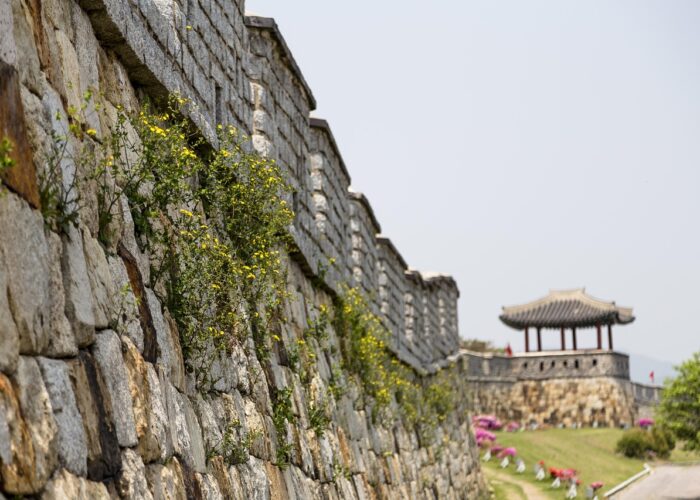 while sports day, korea, republic of korea, suwon, suwon hwaseong fortress, castle, unesco, world cultural heritage, korea, korea, korea, korea, korea, suwon, suwon, suwon, suwon, suwon