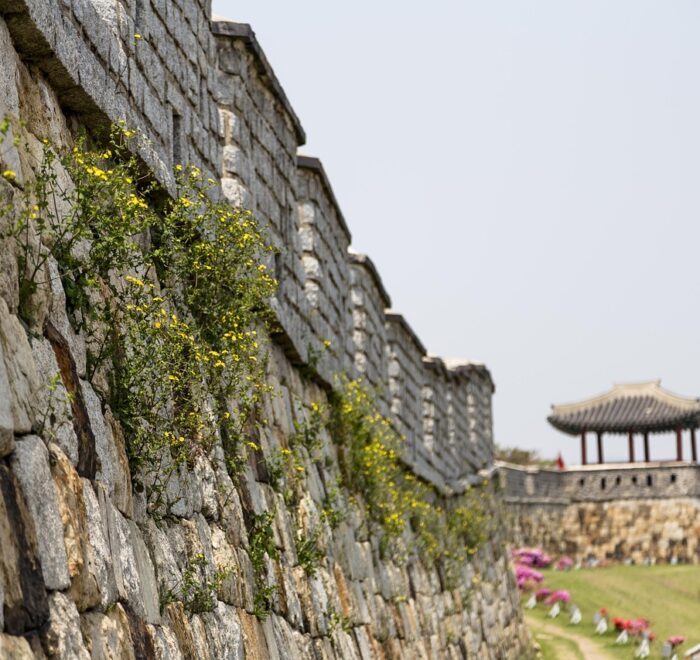 while sports day, korea, republic of korea, suwon, suwon hwaseong fortress, castle, unesco, world cultural heritage, korea, korea, korea, korea, korea, suwon, suwon, suwon, suwon, suwon, suwon hwaseong fortress, night view, castle, unesco, the northeast day, standing up, night sky, korea, suwon-whaseong fortress, 水原華城之旅, 華城行宮全景, 城牆制高點俯瞰, 石門與樓閣, 軍事訓練場, 水原华城之旅, 华城行宫全景, 城墙制高点俯瞰, 石门与楼阁, 军事训练场, 수원 화성 투어, 화성행궁 전경, 성곽 제고지 전망, 돌문과 누각, 군사 훈련장, Suwon Hwaseong Tour, Hwaseong Haenggung Palace, fortress summit view. stone gate and pavilion, military training ground