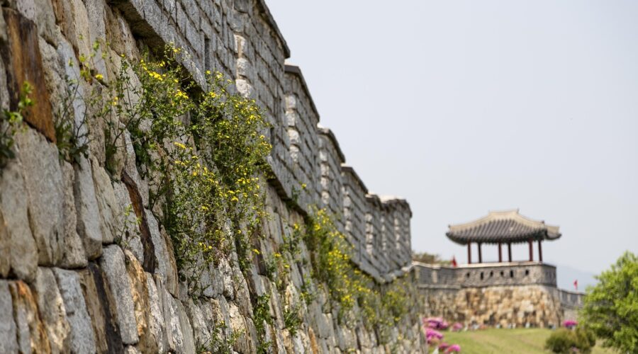 while sports day, korea, republic of korea, suwon, suwon hwaseong fortress, castle, unesco, world cultural heritage, korea, korea, korea, korea, korea, suwon, suwon, suwon, suwon, suwon, suwon hwaseong fortress, night view, castle, unesco, the northeast day, standing up, night sky, korea, suwon-whaseong fortress, 水原華城之旅, 華城行宮全景, 城牆制高點俯瞰, 石門與樓閣, 軍事訓練場, 水原华城之旅, 华城行宫全景, 城墙制高点俯瞰, 石门与楼阁, 军事训练场, 수원 화성 투어, 화성행궁 전경, 성곽 제고지 전망, 돌문과 누각, 군사 훈련장, Suwon Hwaseong Tour, Hwaseong Haenggung Palace, fortress summit view. stone gate and pavilion, military training ground