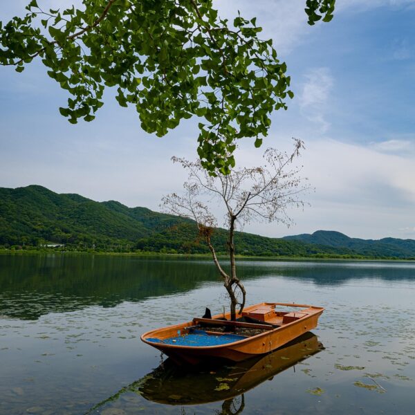 double head, yangpyeong, lake, nature, river, landscape