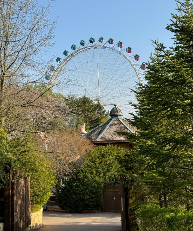 A stunning view of a Ferris wheel towering above lush greenery in a tranquil park setting.