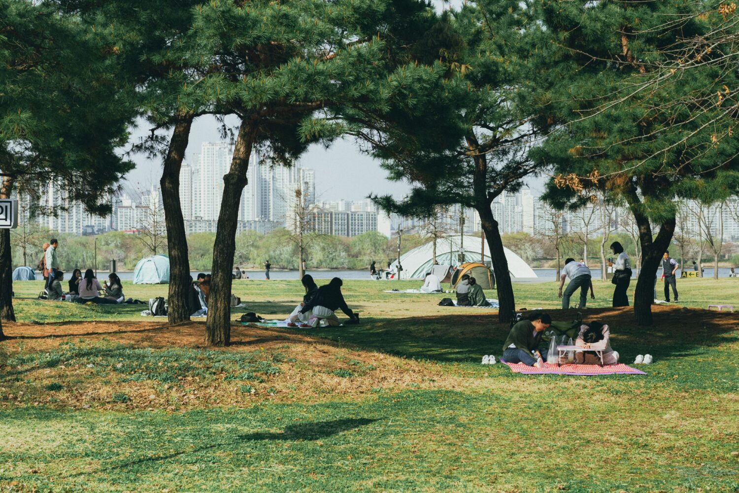 People enjoying a sunny spring day with picnics in a Seoul park.
