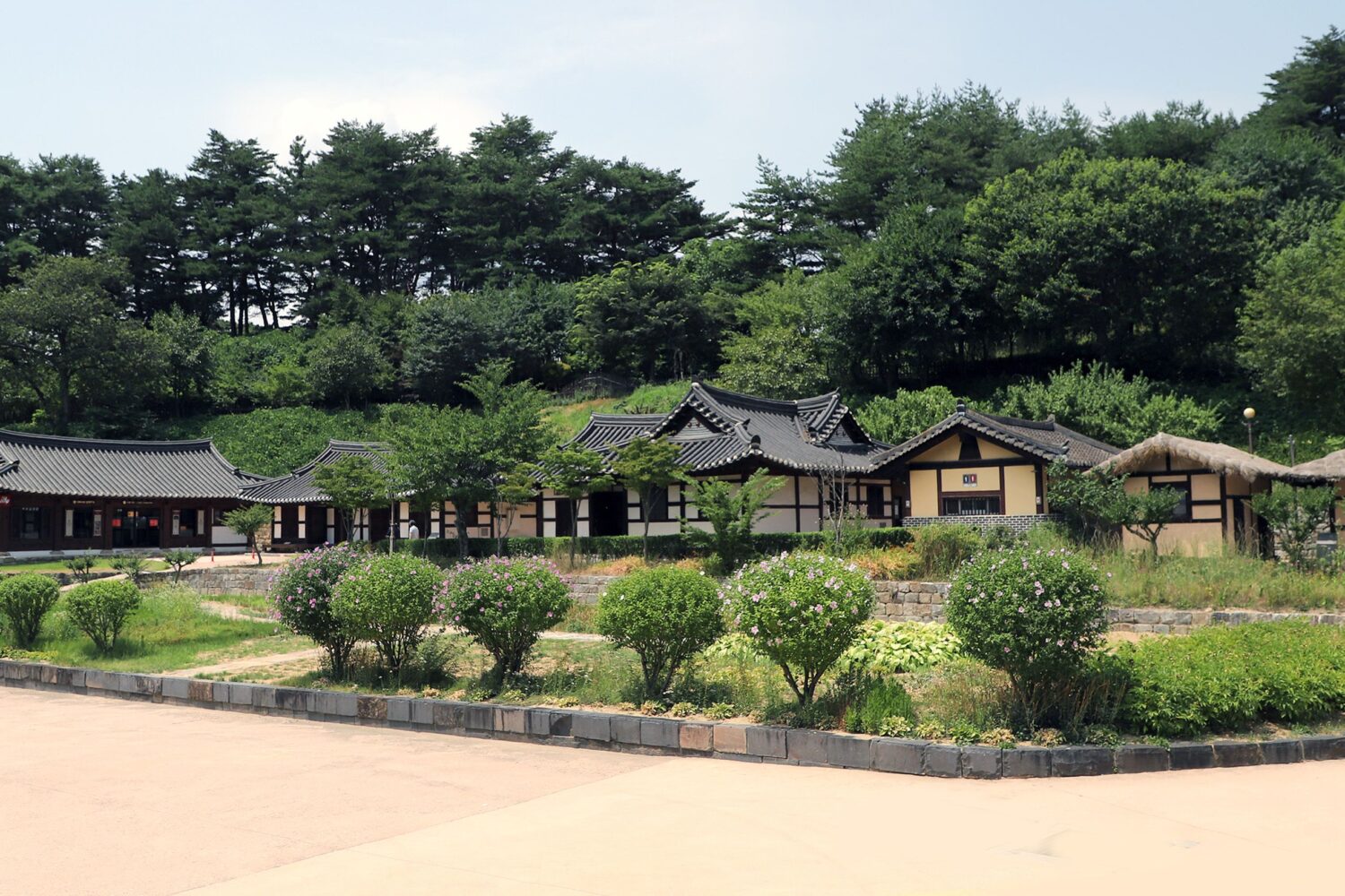 Scenic view of traditional Korean village with Hanok houses surrounded by lush greenery.